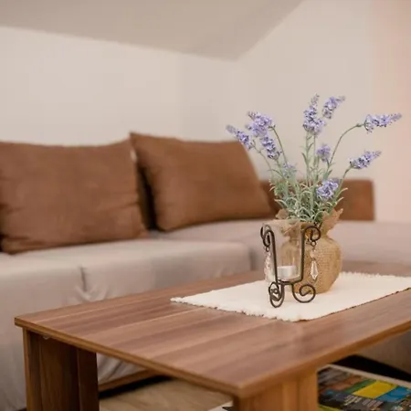 Scerbe Gordana & Miljenko Rab - One Bedroom With Terrace 3 *